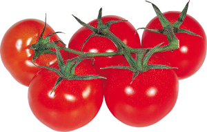 Tomato PNG-12571